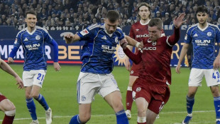 F&uuml;nftes Dzeko-Tor: Schalke festigt Tabellenf&uuml;hrung
