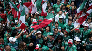 Avant la Coupe du Monde de foot, des Mexicains r&eacute;alisent la plus grande "ola" jamais vue