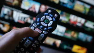 Coup de frein à la rentabilité insolente de Netflix malgré une croissance ininterrompue
