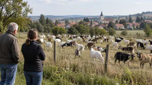 Starosta Unkovic kritizuje &uacute;řady kvůli informac&iacute;m o problematick&eacute;m chovu koz