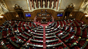 Fin de vie: apr&egrave;s avoir refus&eacute; l'aide &agrave; mourir, le S&eacute;nat d&eacute;fend les soins palliatifs