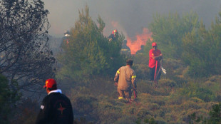 Media, vivi i due piloti di uno degli elicotteri scontrati in Grecia