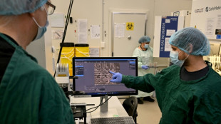 Australian researchers teach brain cells to play 'Doom'