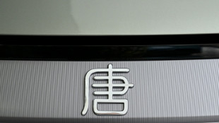 El beneficio neto del fabricante de autos chino BYD cae un 55% en el 1T