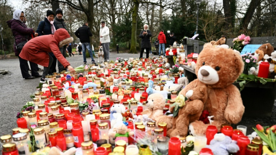 Tödliche Messerattacke von Aschaffenburg: Täter soll dauerhaft in Psychiatrie