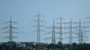 Strompreis: &Uuml;bertragungsnetzbetreiber senken Netzentgelte deutlich