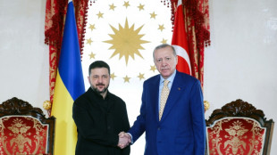Erdogan, Zelensky discuss energy security, peace efforts