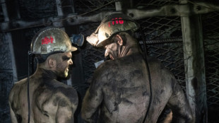 Czechs wind up black coal mining in green energy switch