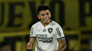 Botafogo e Atlético-MG na final da Libertadores: vitória das SAFs?