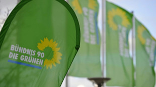 Gr&uuml;ne wollen Verfassungsbeschwerde in Karlsruhe gegen Haushalt 2025 organisieren