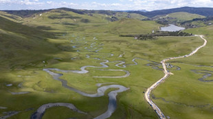 Mines 'draining Turkey's water sources', environmentalists warn