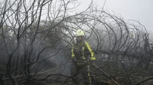 Waldbrand im belgischen Hohen Venn eingegrenzt - Lage bleibt aber "kompliziert"