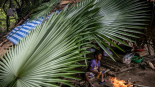 Les derniers chasseurs-cueilleurs de Thaïlande revendiquent leur droit aux terres