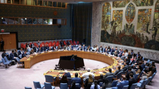 EUA veta na ONU resolução que pedia cessar-fogo em Gaza