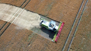 German farmers warn of drought toll on grain harvest