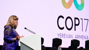 Biodiversit&eacute; : pas d'accord &agrave; l'horizon, au dernier jour de la COP17