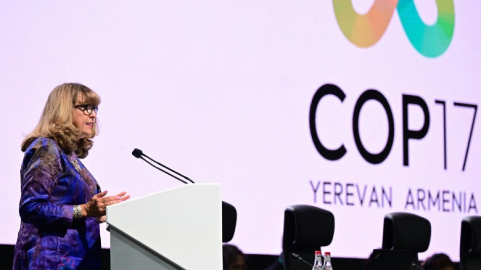 La COP17 sobre biodiversidad encara su recta final sin visos de consenso