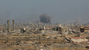 Le Hamas dit avoir besoin de temps pour étudier le plan de Trump sur Gaza