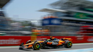 Norris grabs pole for Brazilian Grand Prix sprint race