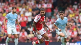 Angleterre: Arsenal se r&ecirc;ve en nouvelle puissance h&eacute;g&eacute;monique