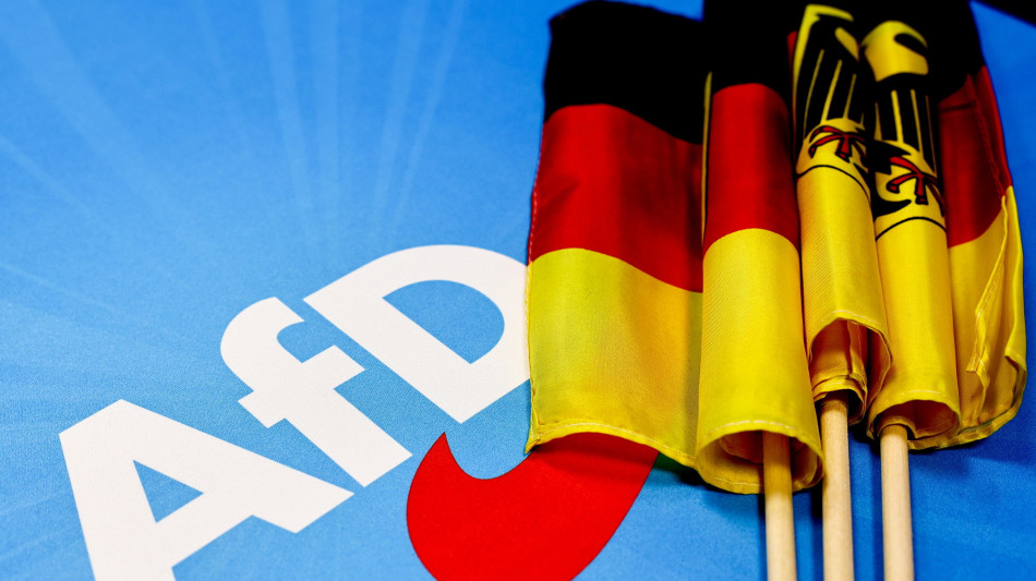 Inchiesta Dpa, 'chat interne dimostrano alleanza Ppe-AfD a Bruxelles'