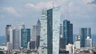 Bce e banche centrali Eurozona, serve mercato unico con stesse garanzie depositi