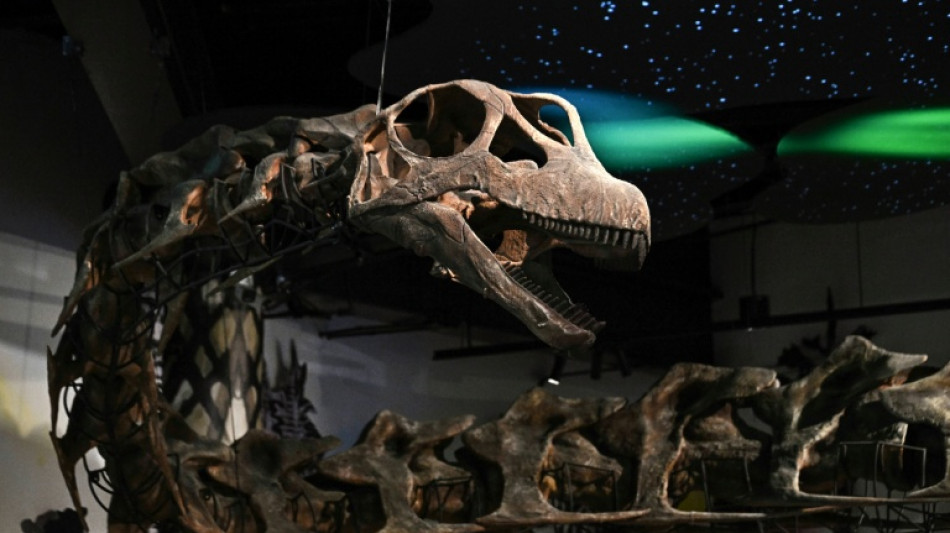 Identifican en Tailandia el dinosaurio m&aacute;s grande del sudeste asi&aacute;tico