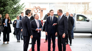 Zelenski se re&uacute;ne con emisarios de EEUU en Berl&iacute;n para negociar un fin del conflicto