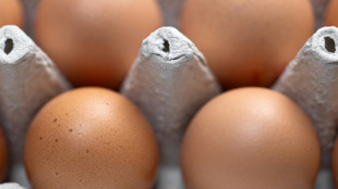 Gericht: Veganer Lik&ouml;r darf "Lik&ouml;r ohne Ei" hei&szlig;en