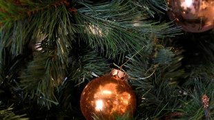 DDR-Weihnachtsklassiker: Frank Sch&ouml;bel &uuml;berrascht Comeback von 40 Jahre altem Song