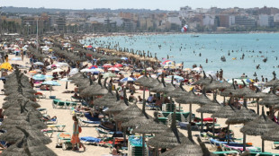 Abschreckend oder idealer Urlaubsort: Mallorca spaltet Deutsche