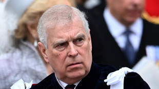Caso Epstein: 'Andrea spiò accusatrice', polizia Gb indaga