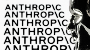 IA: Anthropic entrevoit un chiffre d'affaires sup&eacute;rieur &agrave; son rival OpenAI