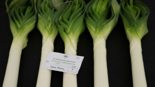 Kauft Lauch: Franz&ouml;sische Superm&auml;rkte unterst&uuml;tzen Gem&uuml;sebauern 