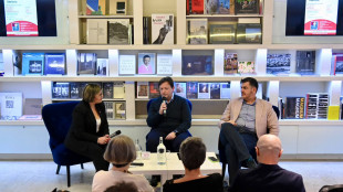 'Sa tutto o quasi, ma non capisce nulla', libro indaga sui limiti dell'IA