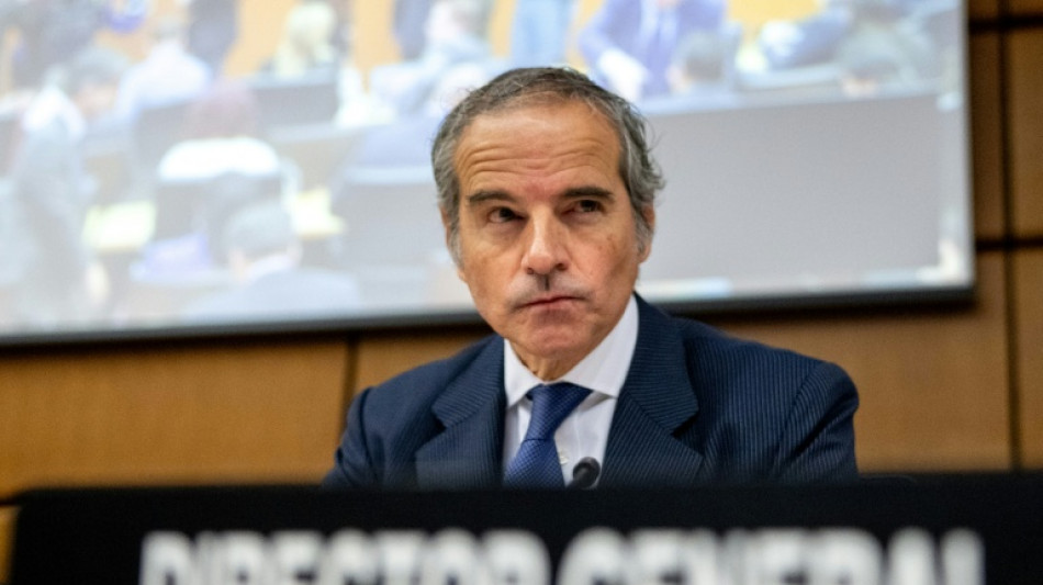 AIEA se re&uacute;ne preocupada com seguran&ccedil;a nuclear na Ucr&acirc;nia