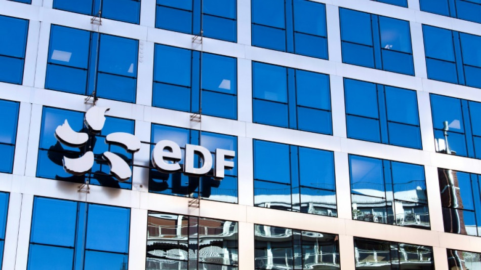 EDF lance un "plan hydrog&egrave;ne" pour devenir un des leaders europ&eacute;ens du secteur d'ici 2030