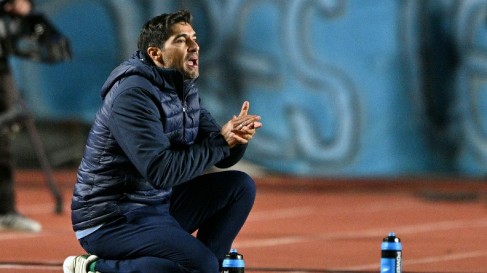 Palmeiras nega que Abel Ferreira esteja em negociação com a CBF