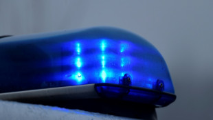 15.000 Liter Gülle nach Verkehrsunfall in Thüringen teils in Fluss ergossen
