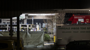 Polizia, 'sei morti e 5 feriti nell'incendio al bus in Svizzera'