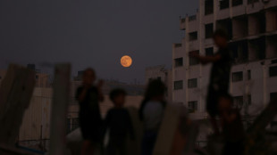 Una fuerza internacional de estabilizaci&oacute;n ser&aacute; desplegada "muy pronto" en Gaza, afirma Trump