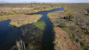 EEUU anuncia un acuerdo con M&eacute;xico sobre disputa por agua