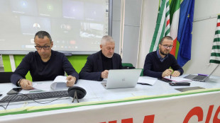 'Peggiora la produzione Stellantis, mai così bassa dal 1956'
