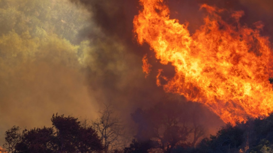 North America 'heat dome' left winners and losers: study