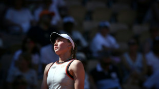 Roland-Garros: Rybakina reste &agrave; quai, Djokovic trace sa route