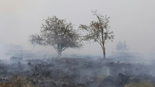 Waldbr&auml;nde: SPD nimmt Strafversch&auml;rfung f&uuml;r Brandstiftung ins Visier