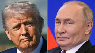 Trump und Putin telefonieren erneut - Auch Gespräch Trump-Selenskyj geplant