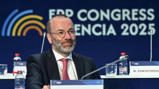 EVP-Chef Weber fordert Berufung eines Europ&auml;ischen Pr&auml;sidenten