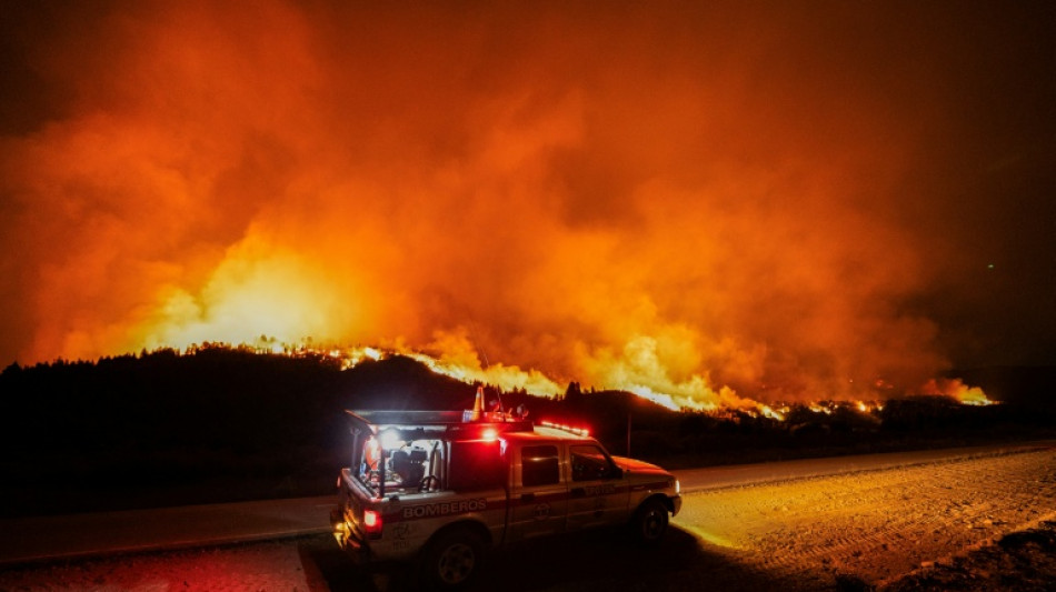 Incendios forestales de magnitud, la "nueva normalidad" de la Patagonia, seg&uacute;n experto