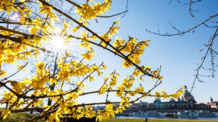 Verbraucherzentrale verklagt Baumarktkette wegen potentiell invasiver Pflanzen